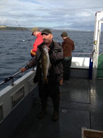 4 lb Pollock by Alan