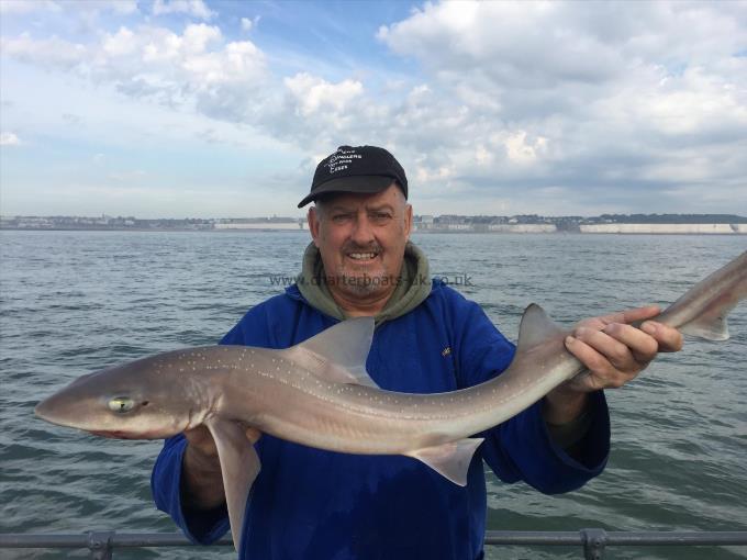 7 lb Smooth-hound (Common) by Unknown