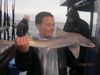 5 lb 9 oz Smooth-hound (Common) by Unknown