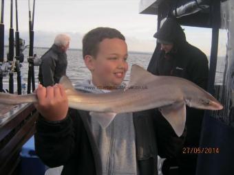 5 lb 9 oz Smooth-hound by Unknown