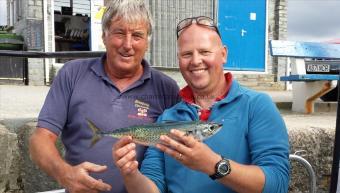 1 lb 6 oz Mackerel by chris sydenham