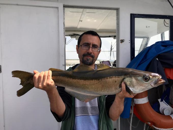 6 lb 8 oz Pollock by Unknown