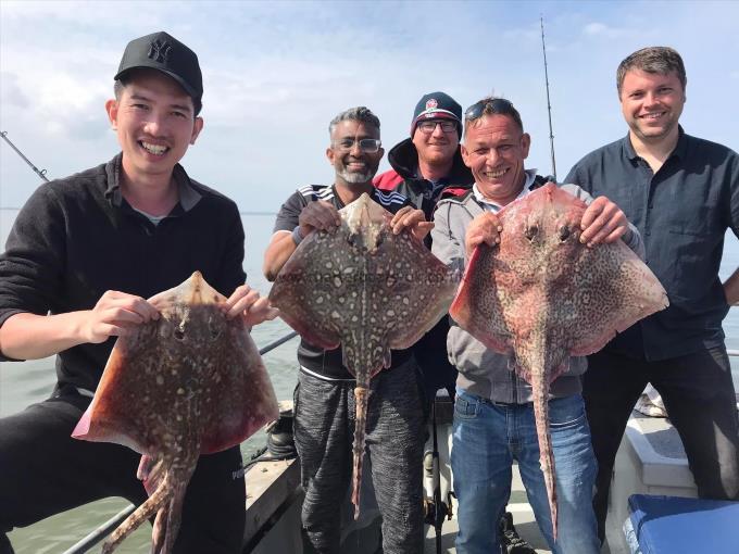 10 lb Thornback Ray by Unknown