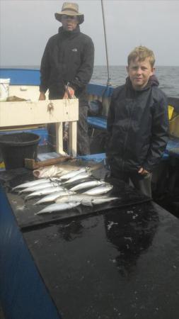 3 lb Pollock by Unknown