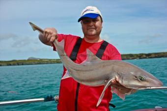 12 lb 8 oz Starry Smooth-hound by Lloyd Rush