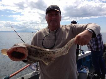 12 lb 6 oz Bull Huss by Charlie Donavan