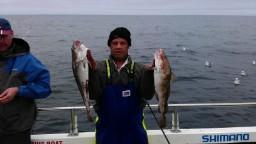 4 lb Cod by Mike Alves from Leeds.