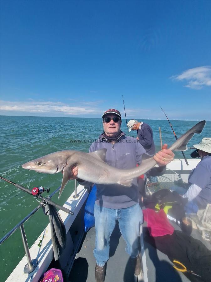 14 lb Smooth-hound (Common) by Tim