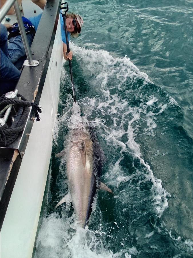2 oz Bluefin Tuna by Unknown