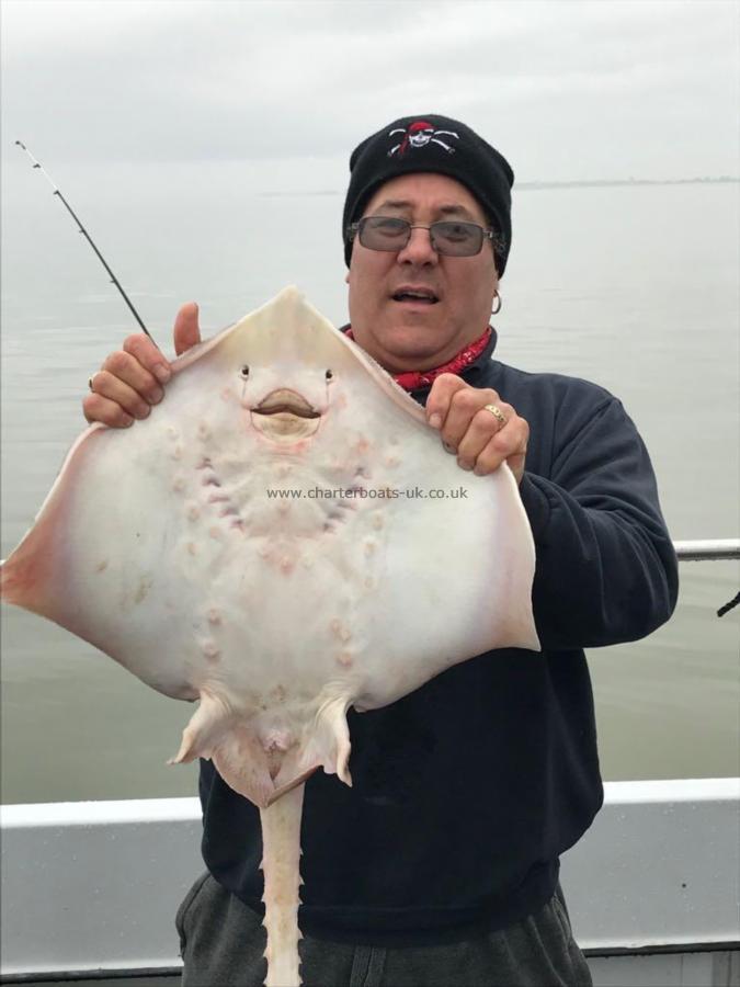 10 lb 2 oz Thornback Ray by Unknown