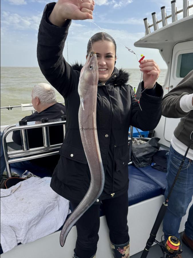 5 lb Conger Eel by Jamilla
