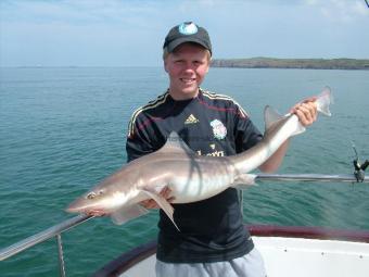 19 lb 10 oz Starry Smooth-hound by Harry Owen