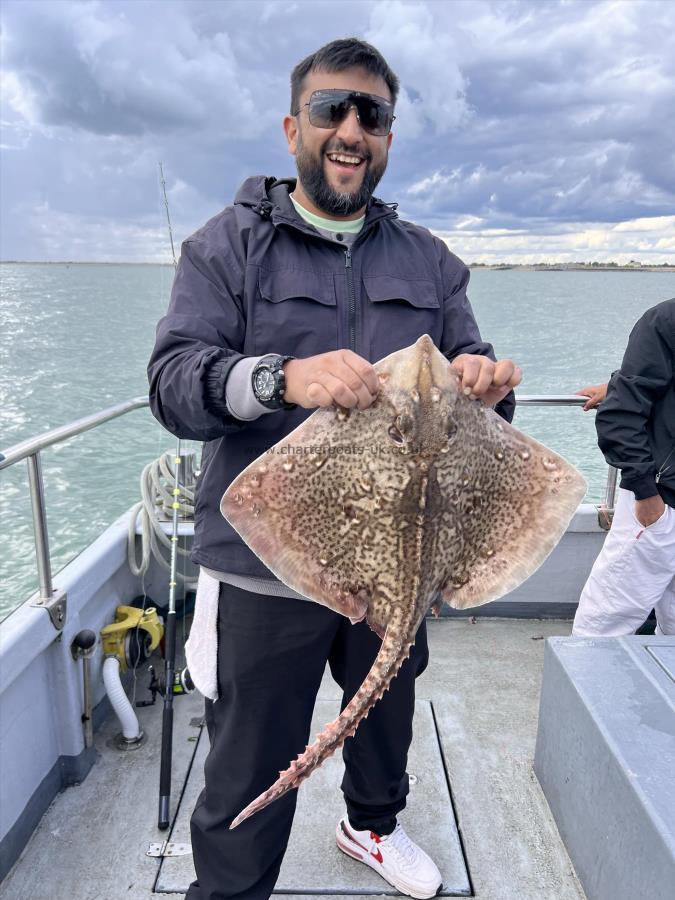 8 lb Thornback Ray by Unknown