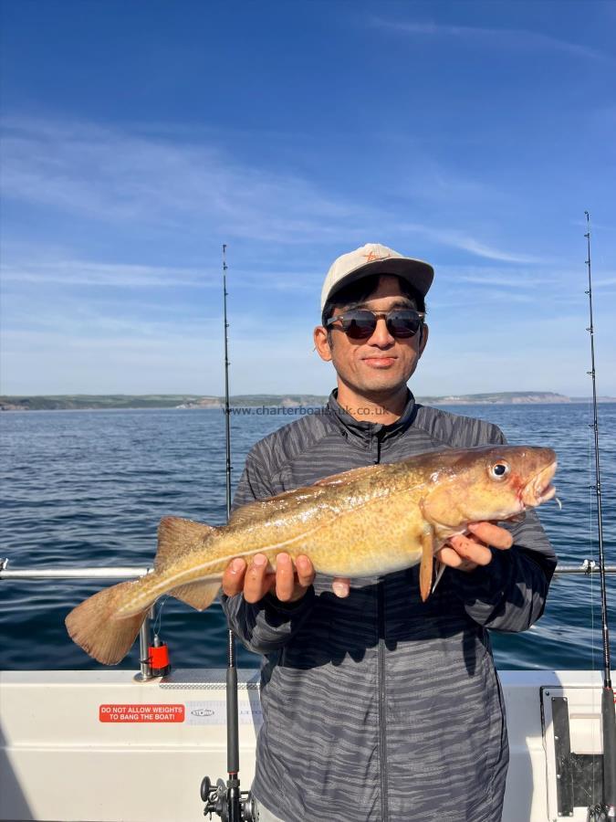 3 lb 8 oz Cod by Sungno Yoon