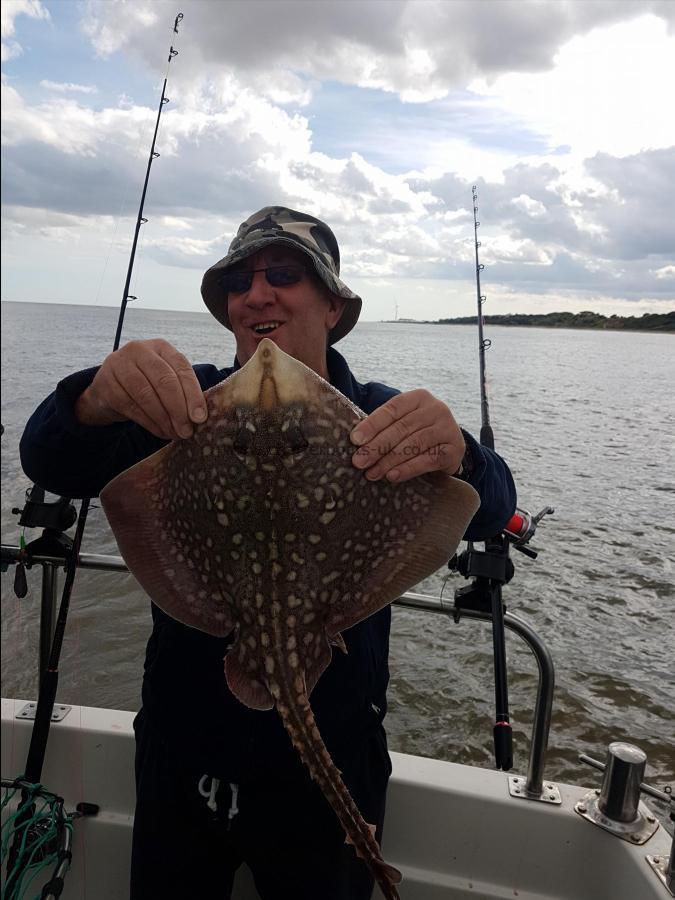 4 lb Thornback Ray by Dave