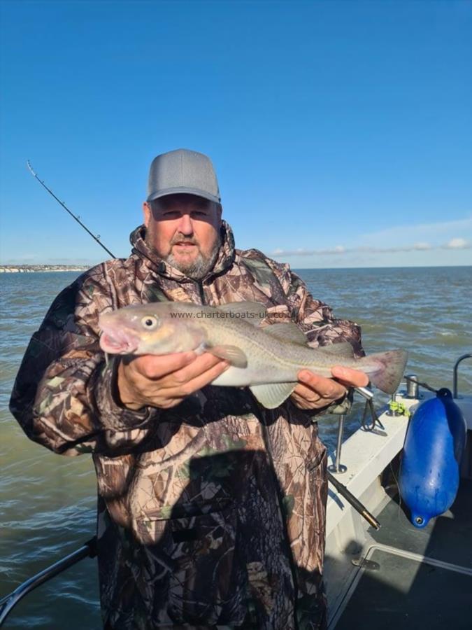 3 lb Cod by Dave Cullen