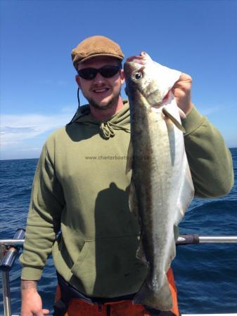 9 lb 6 oz Pollock by DANE