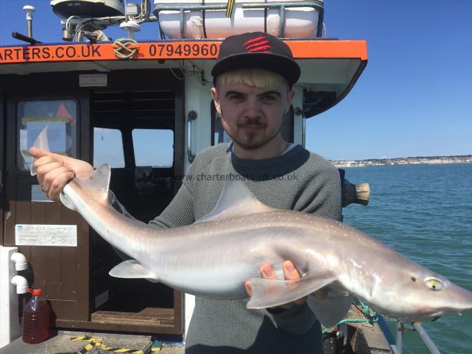 9 lb Smooth-hound (Common) by Unknown