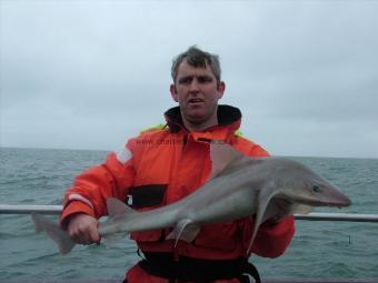 15 lb 2 oz Smooth-hound by Ian Thomo