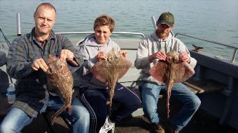 8 lb Thornback Ray by individual day