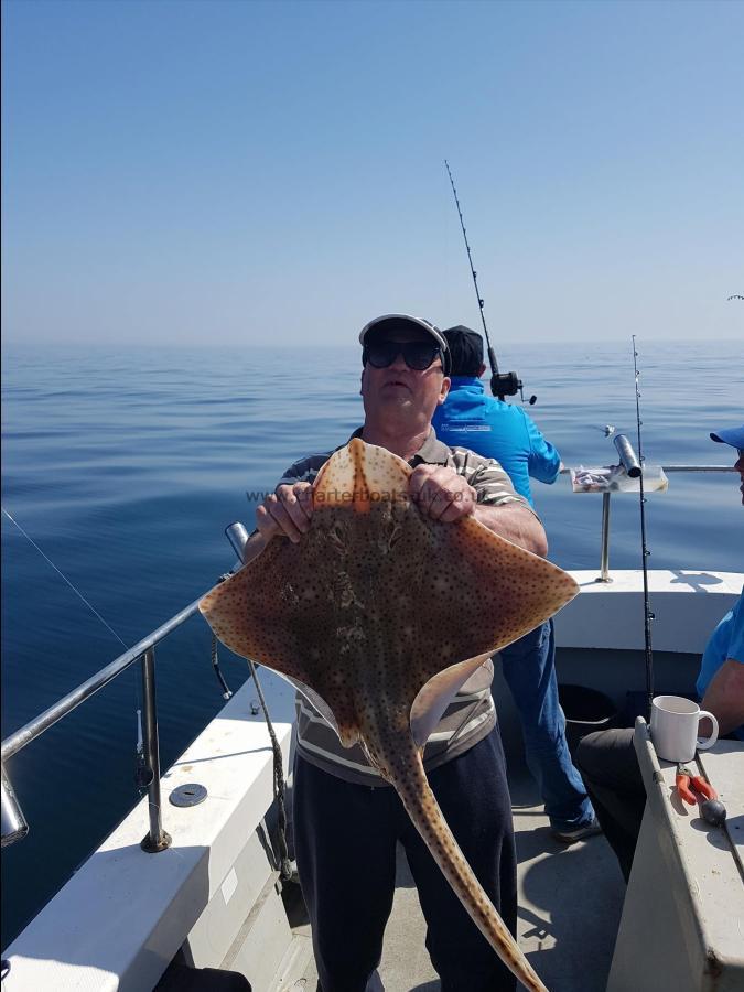 9 lb Blonde Ray by Unknown