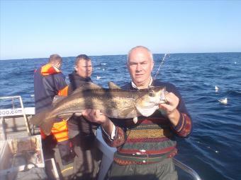 10 lb 13 oz Pollock by David Laine from East Cowton Nr Richmond.