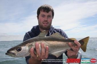 5 lb Pollock by Stuart