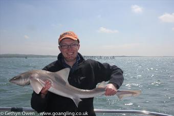 12 lb Starry Smooth-hound by Meilir