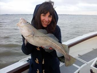 5 lb 7 oz Cod by Scott Belbin