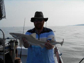 5 lb Starry Smooth-hound by Rob