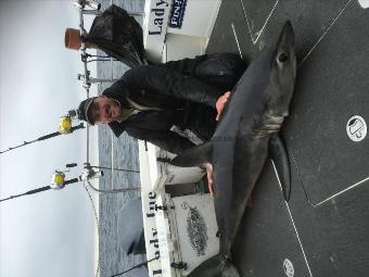 167 lb Porbeagle by Tony