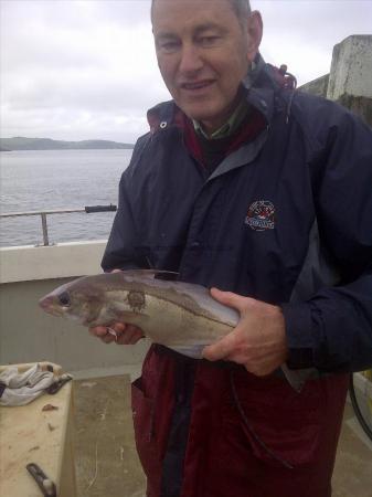 3 lb 1 oz Haddock by Unknown