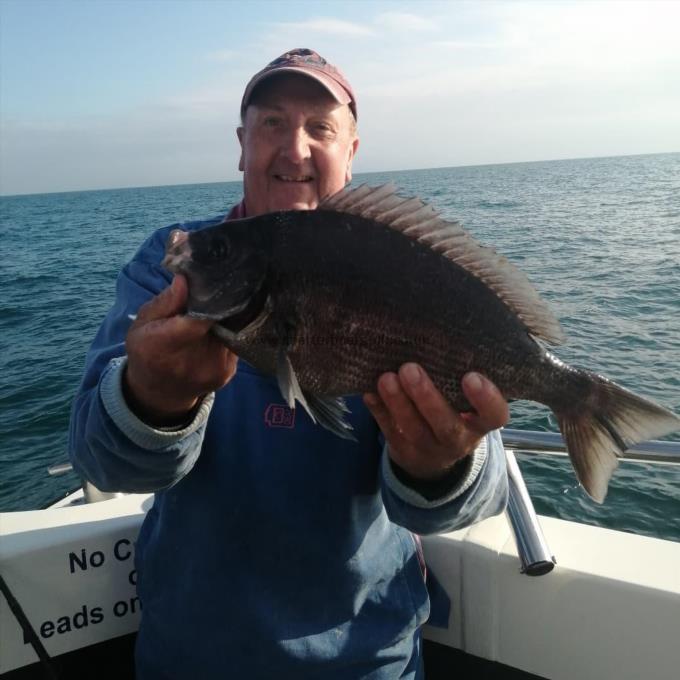 3 lb Black Sea Bream by Pat