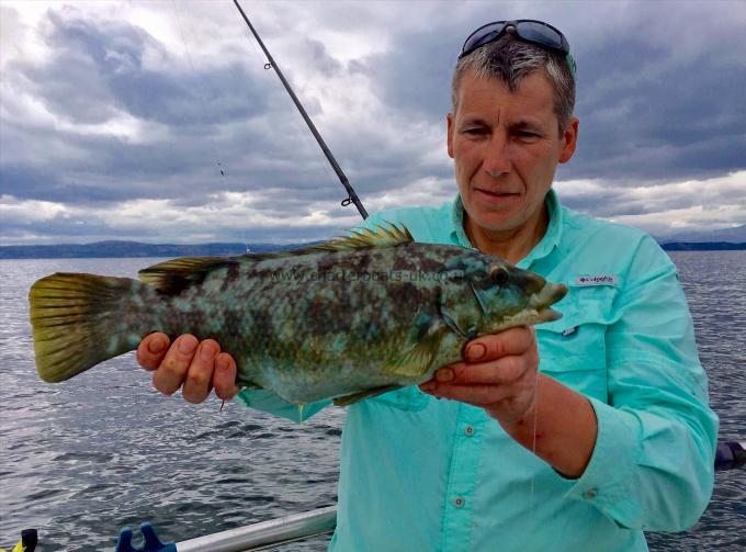 1 lb Ballan Wrasse by Kev Preston