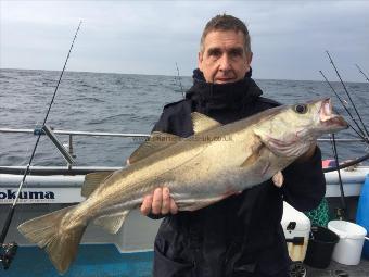 12 lb Pollock by Kevin McKie