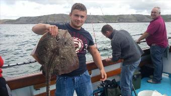 13 lb Thornback Ray by Unknown