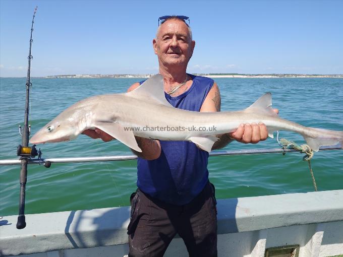 8 lb Smooth-hound by Rob