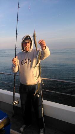 3 lb Mackerel by dave marsh