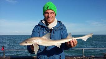 4 lb 6 oz Starry Smooth-hound by Jonas