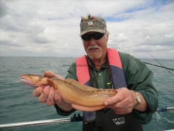 1 lb 9 oz Three Bearded Rockling by Martin Harris