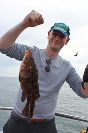 3 lb Ballan Wrasse by Mick