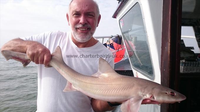 6 lb 6 oz Starry Smooth-hound by Brian from maidstone