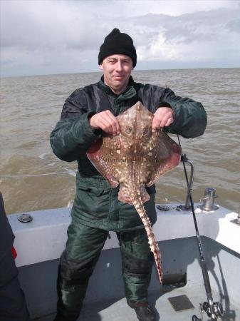 8 lb 7 oz Thornback Ray by Unknown