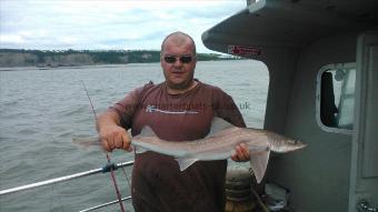 9 lb Starry Smooth-hound by craig