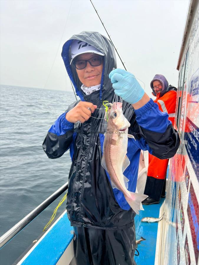 2 lb 3 oz Haddock by Unknown