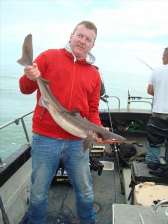 12 lb 8 oz Spurdog by patrick