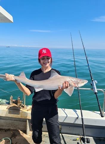 12 lb Smooth-hound (Common) by Lydia