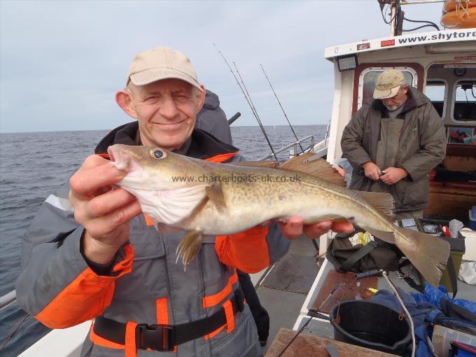 3 lb 7 oz Cod by Ala Greenwood.