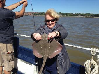 7 lb Thornback Ray by Unknown