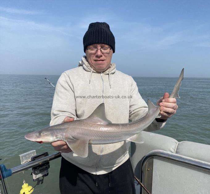 4 lb Smooth-hound (Common) by Unknown